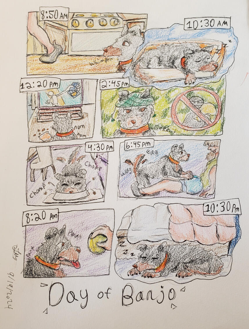 Day of Banjo!