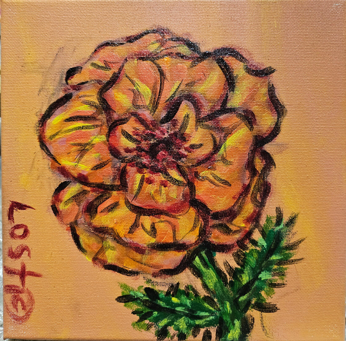 Poppy Flower