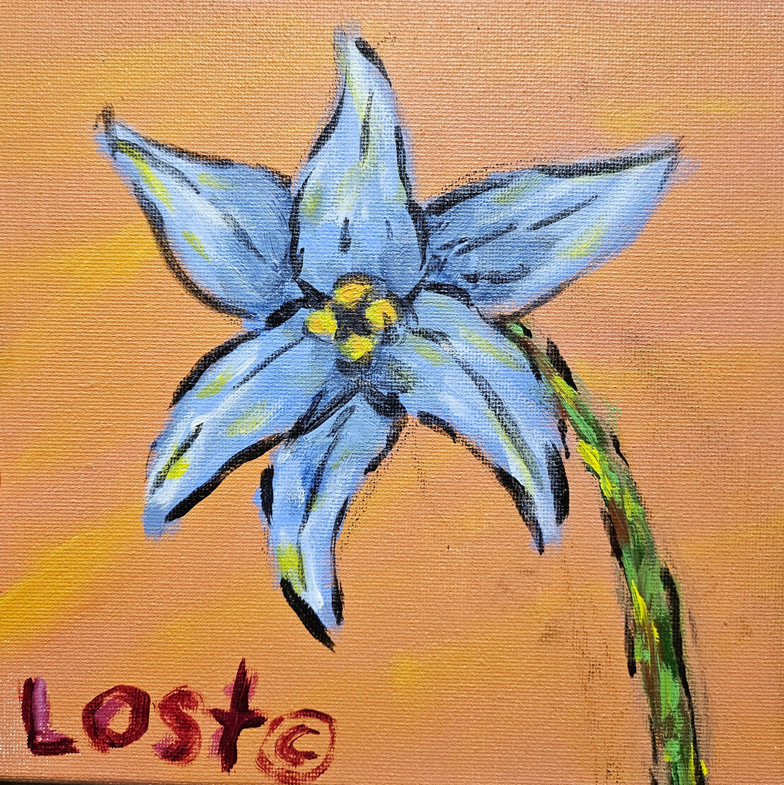Starflower