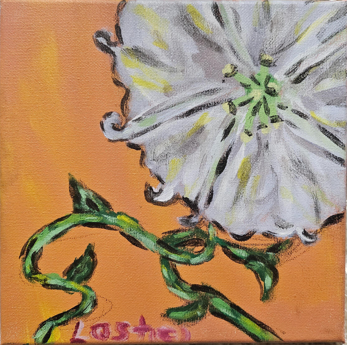 Moonflower