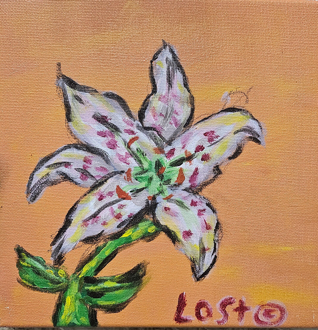 Liliy